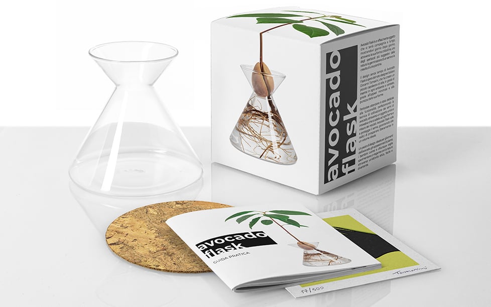 giovanni_tomasini_design_avocado_flask_amoroses_avocado_vase_growing_green_designer_03